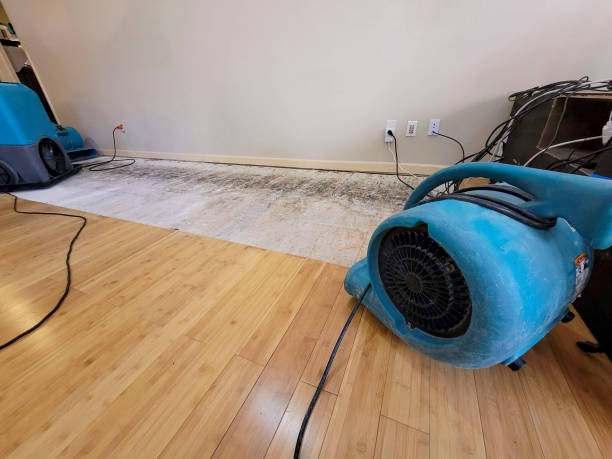 Reliable Burst Pipe Water Damage contractor in Clayton, NC by Hirex Water Damage