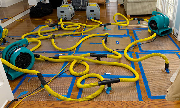 Professional Burst Pipe Water Damage technician working in Clayton, NC